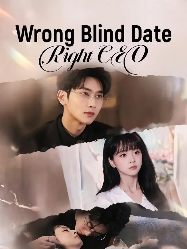 Wrong Blind Date Right CEO — poster