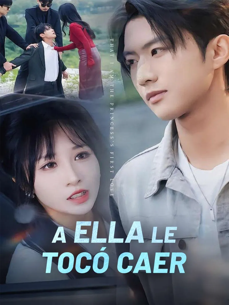 A ella le tocó caer — póster