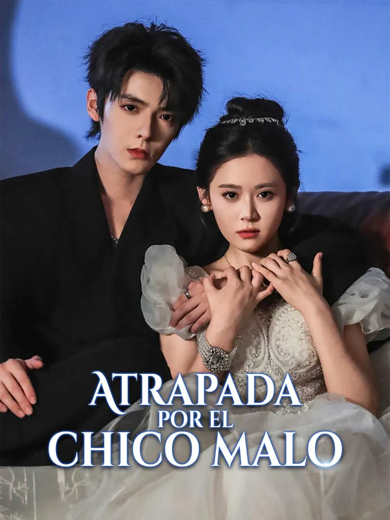 Atrapada por el chico malo — póster