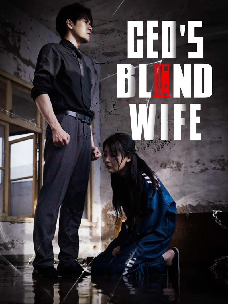 CEO's Blind Wife — poster