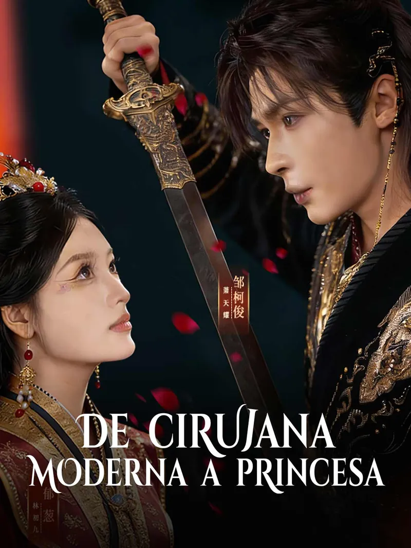 De cirujana moderna a princesa — póster