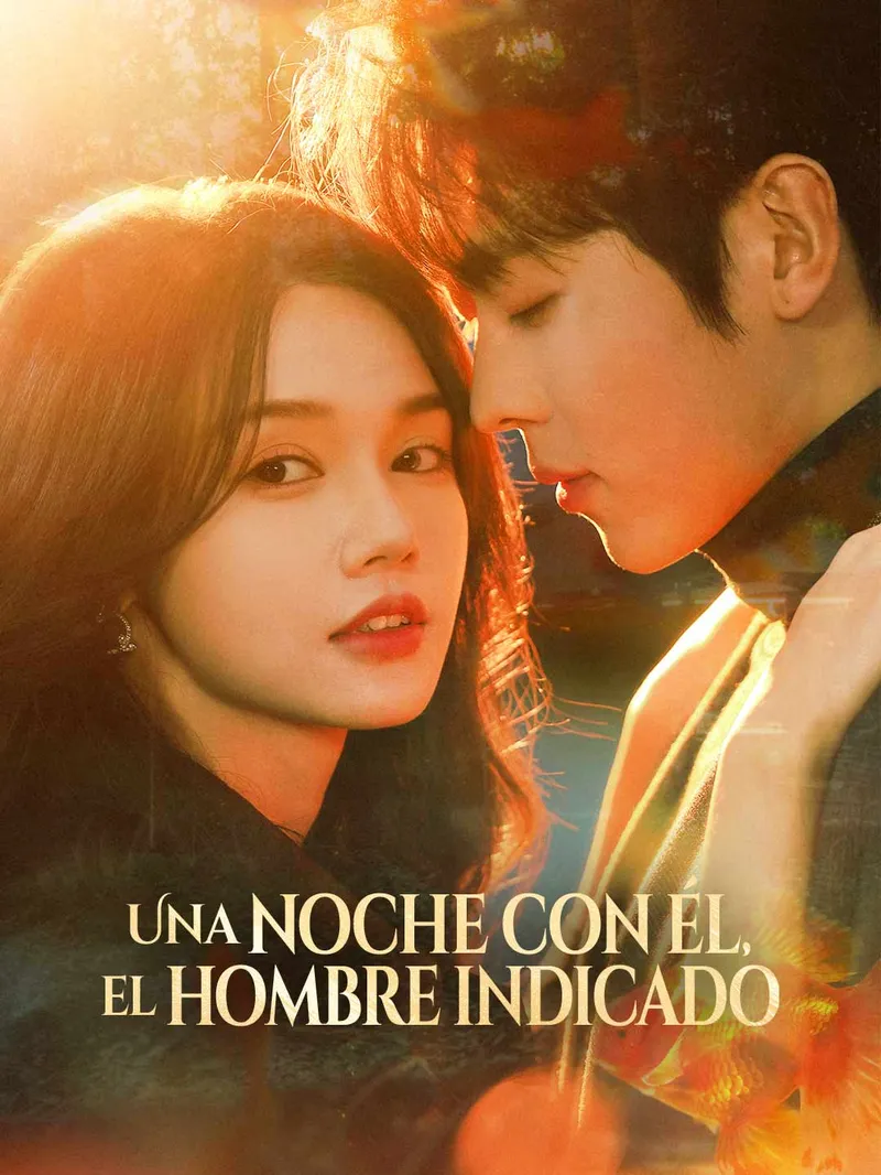 [doblado] Una noche con él, el hombre indicado — póster