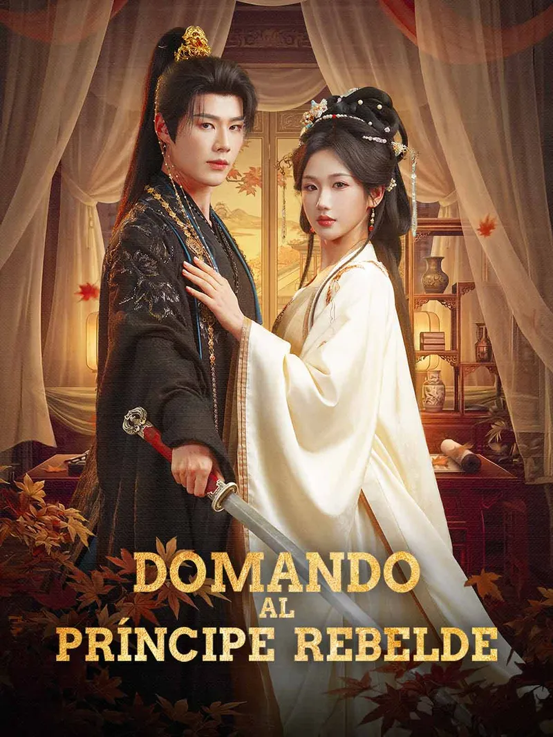 Domando al príncipe rebelde — póster