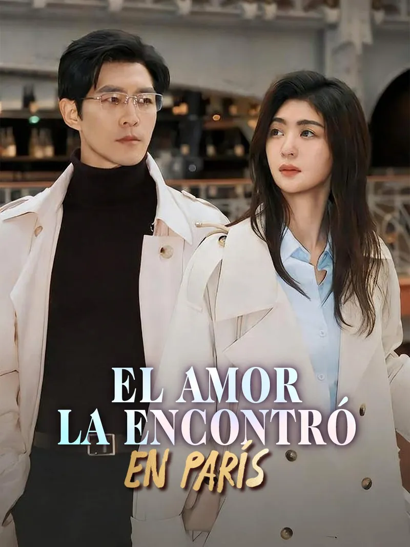 El amor la encontró en París — póster
