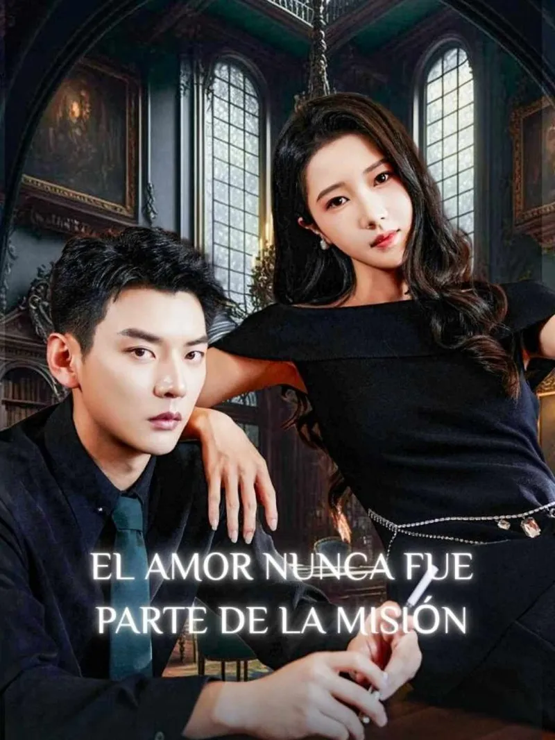 El amor nunca fue parte de la misión — póster