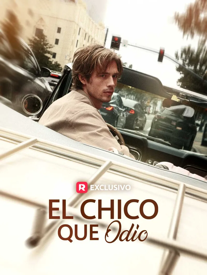 El Chico Que Odio — póster