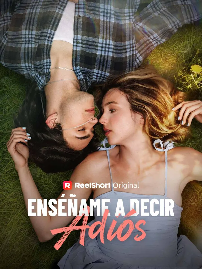 Enséñame a decir adiós — póster