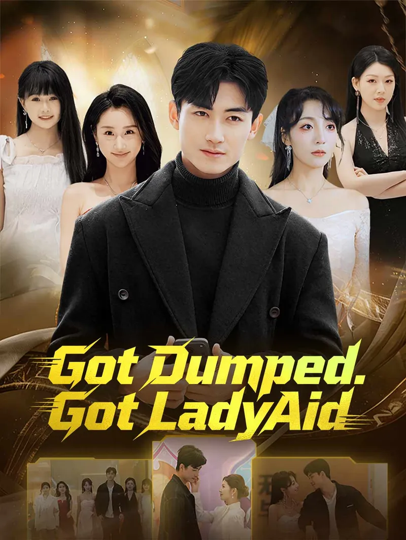 Got Dumped. Got LadyAid. — poster