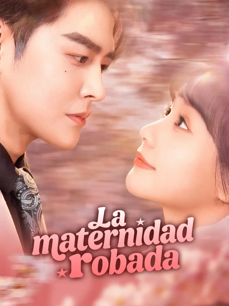 La maternidad robada — póster