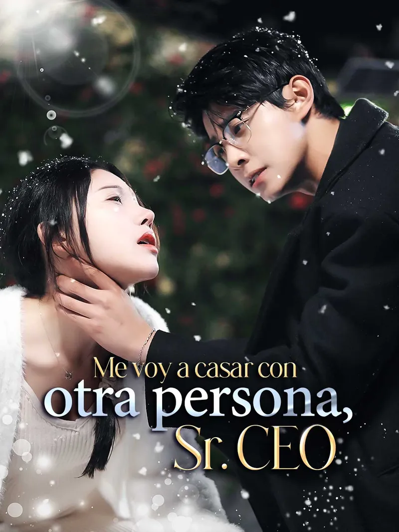 Me voy a casar con otra persona, Sr. CEO — póster
