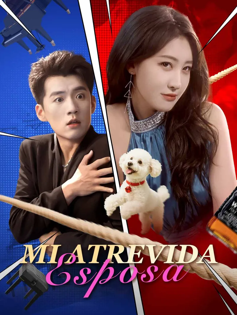 Mi atrevida esposa — póster