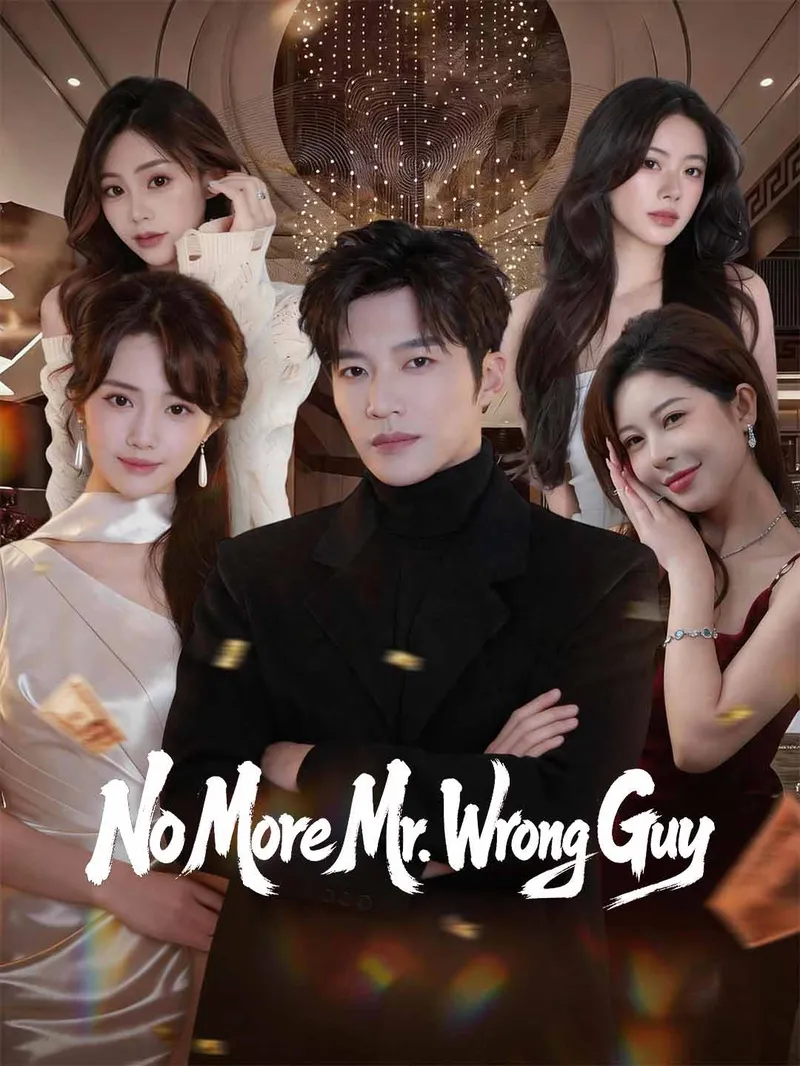 No More Mr. Wrong Guy — poster