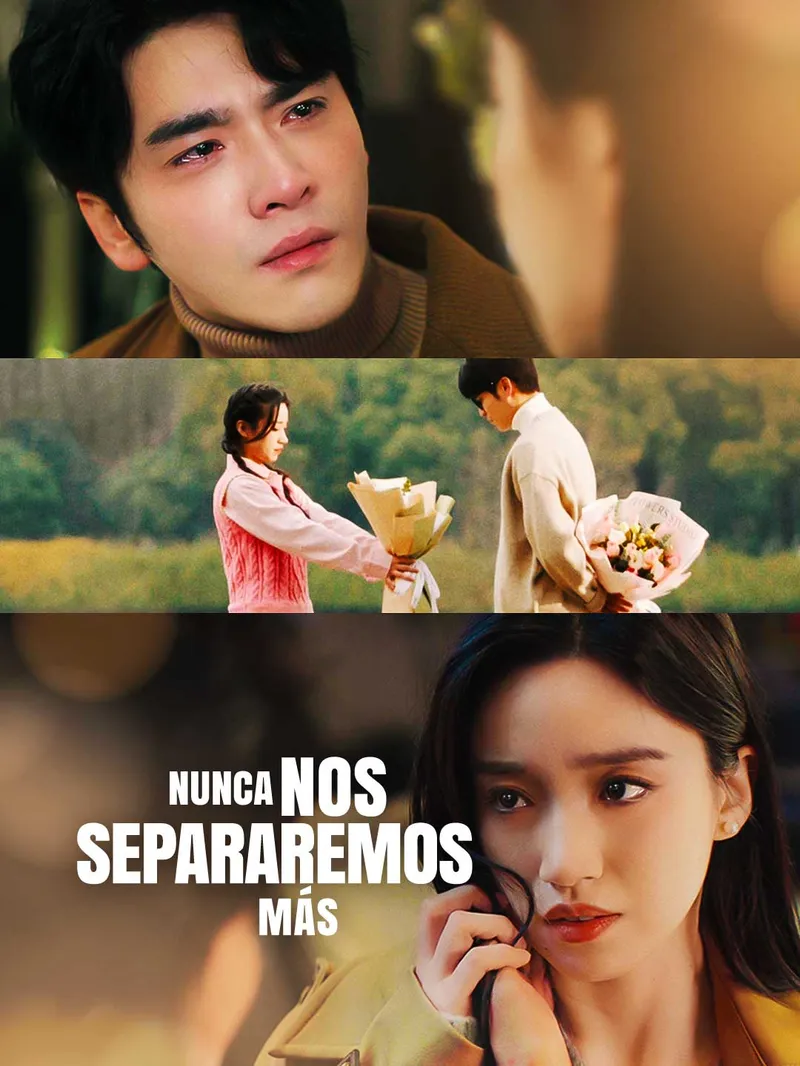 Nunca nos separaremos más — póster