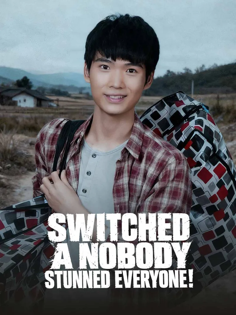 Switched a Nobody Stunned Everyone — poster