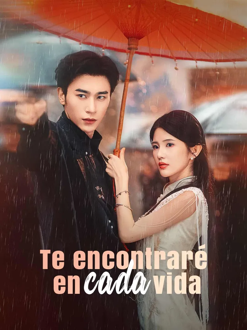 Te encontraré en cada vida — póster