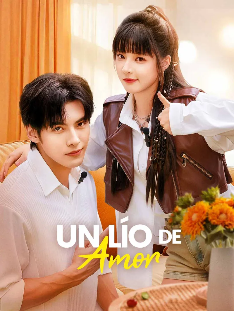 Un Lío de Amor — póster