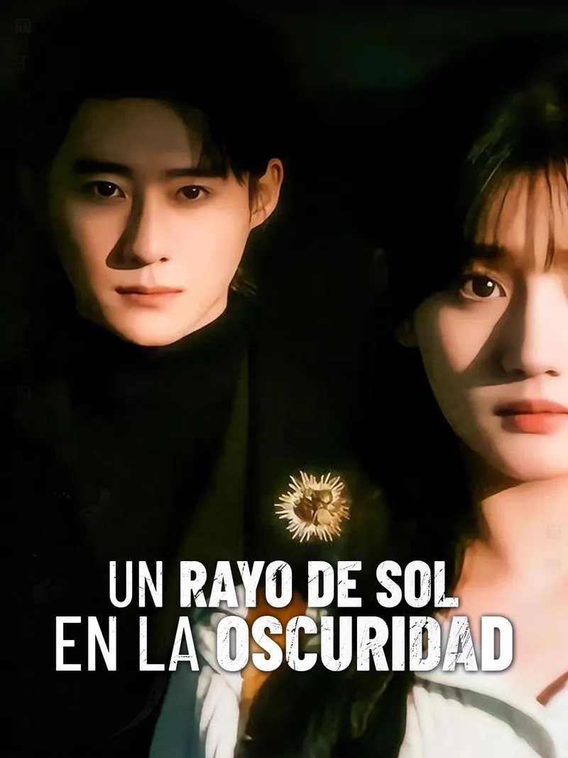 Un rayo de sol en la oscuridad — póster