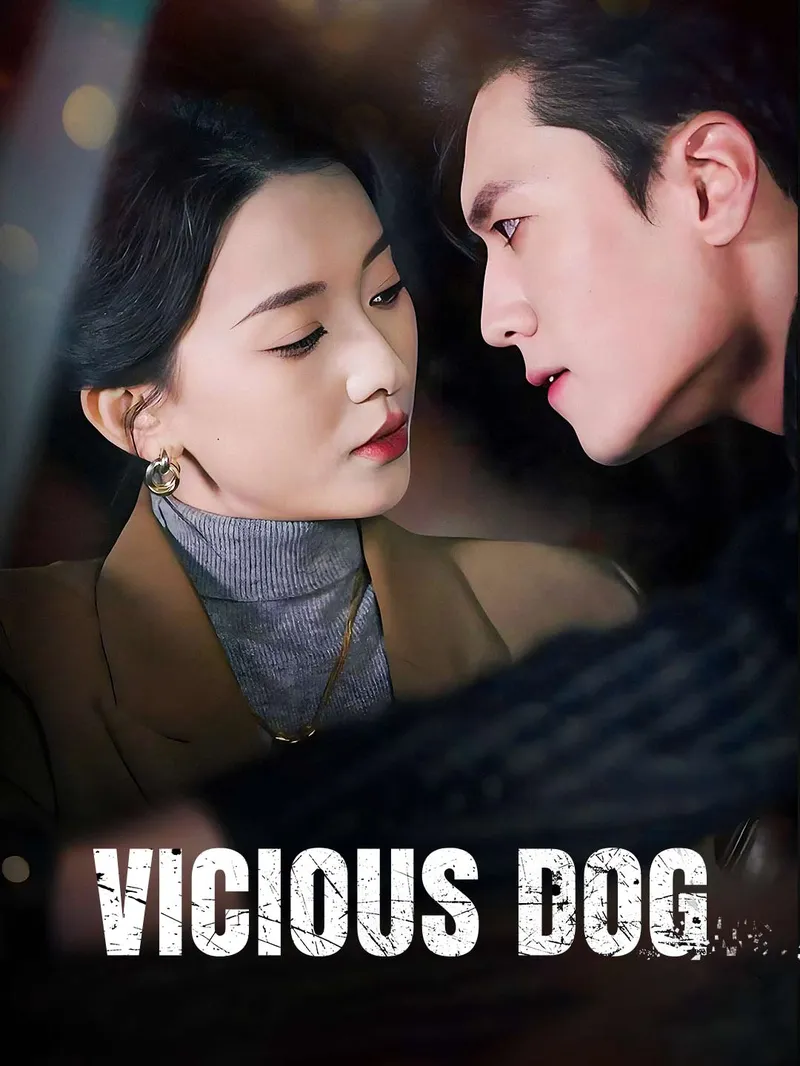Vicious Dog — poster