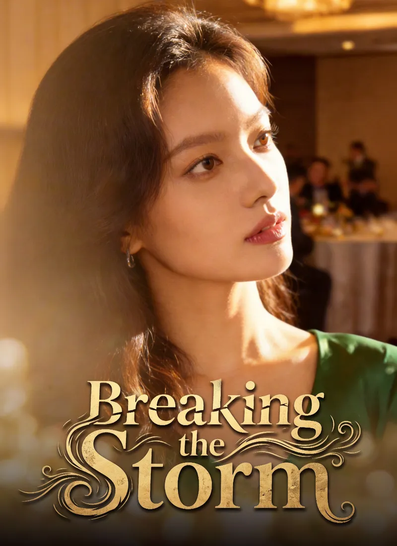 Breaking the Storm — poster