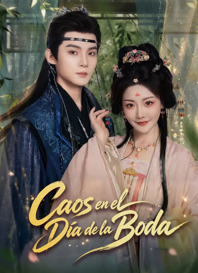 Caos en el Día de la Boda — póster