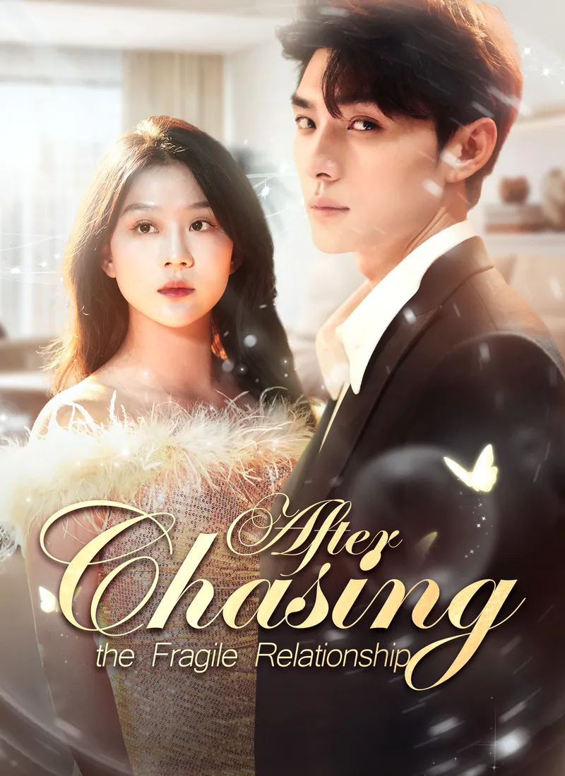 Chasing After the Fragile Relationship — poster