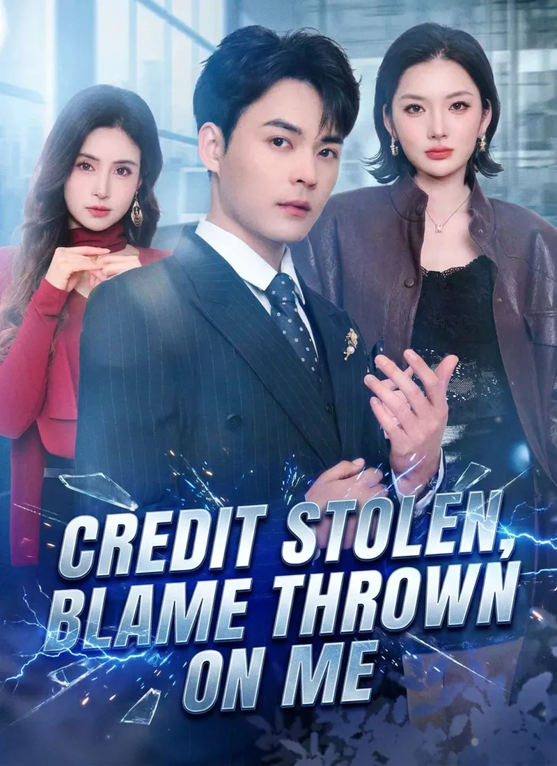 Credit Stolen, Blame Thrown on Me — poster