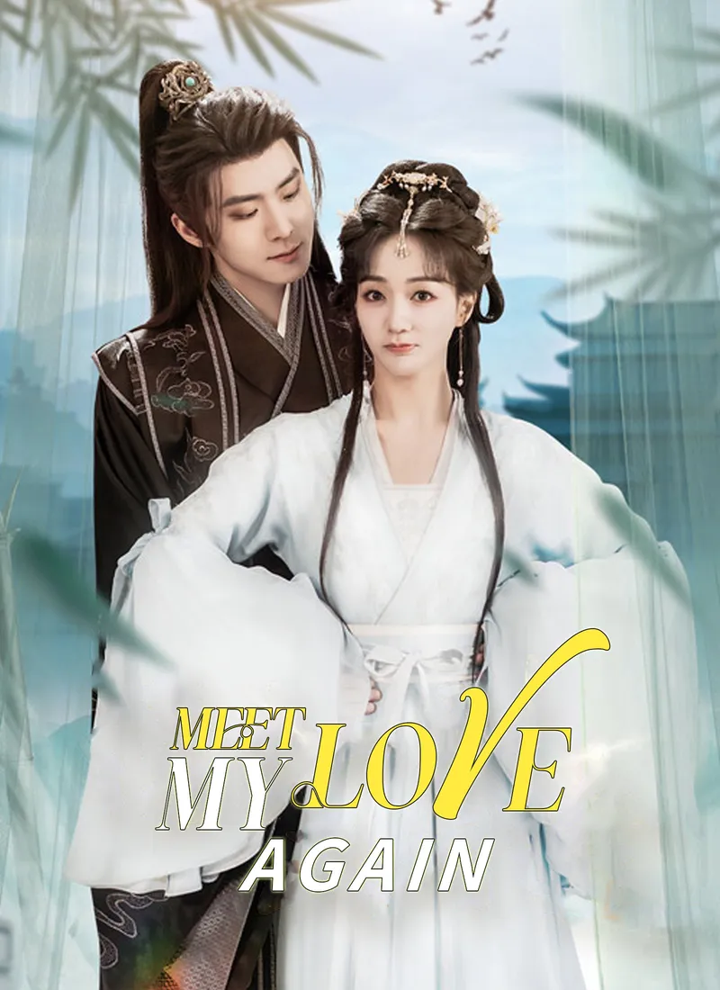 Meet My Love Again