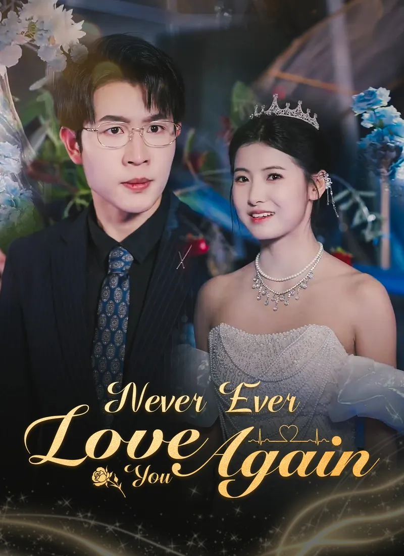 Never Ever Love You Again