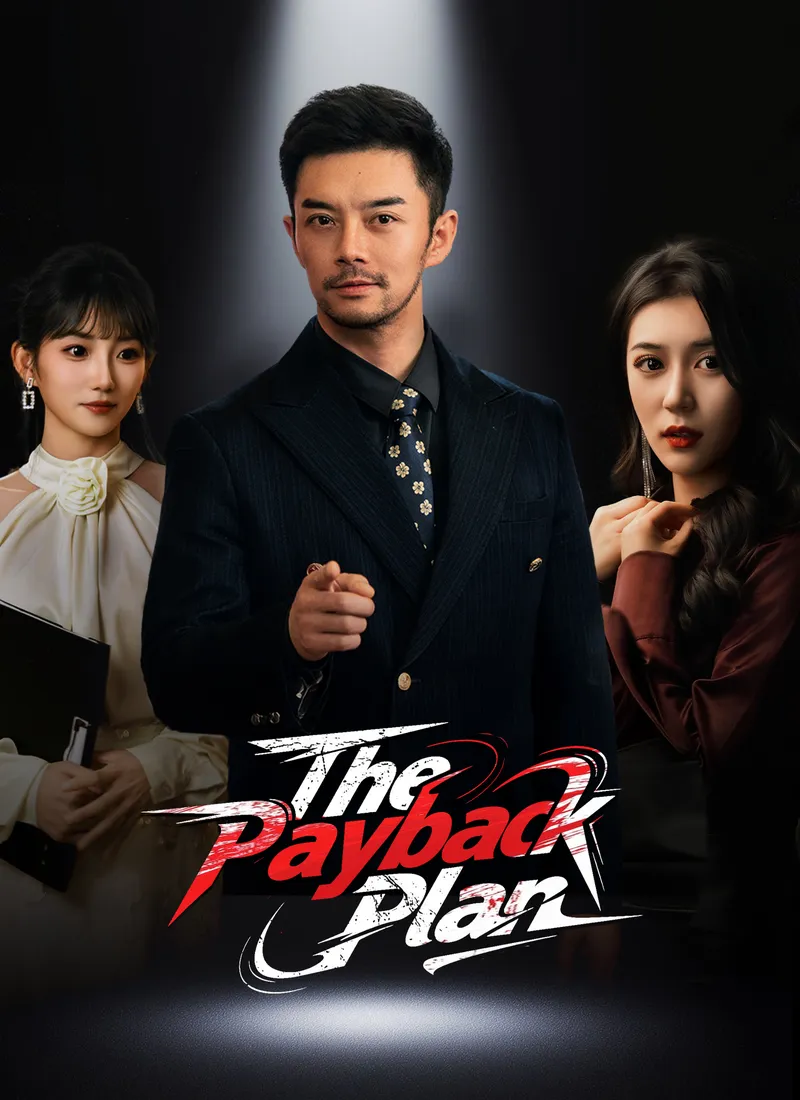 The Payback Plan