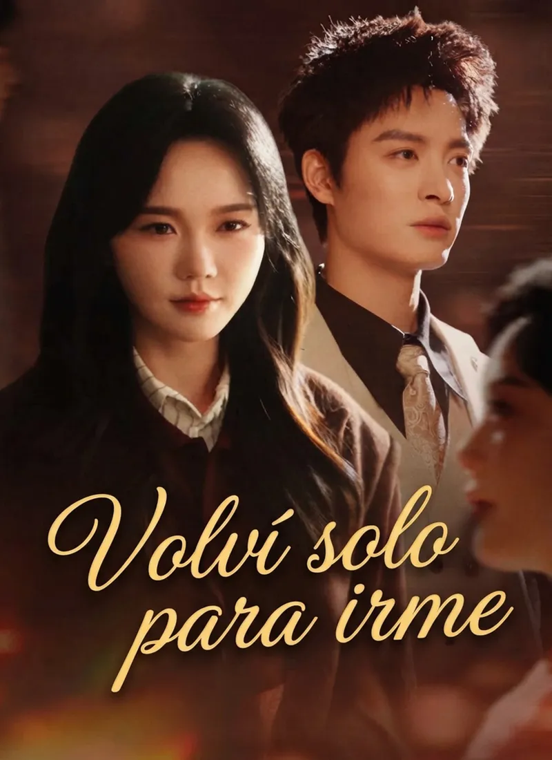 Volví solo para irme — póster