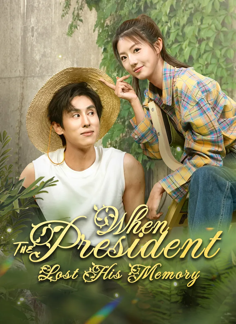 When The President Lost His Memory — poster