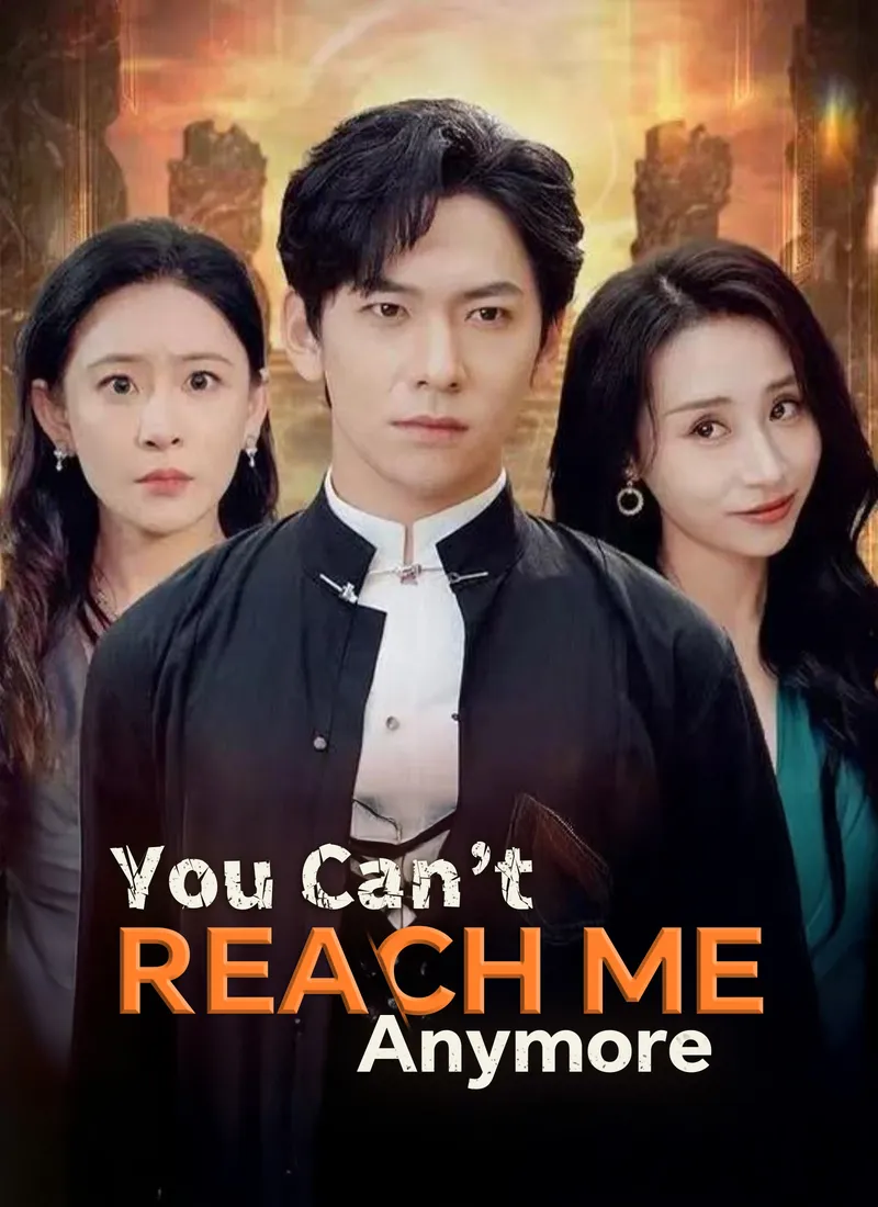 You Can’t Reach Me Anymore — poster