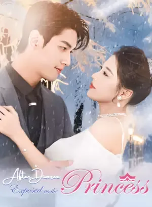 After Divorce, Exposed as the Princess