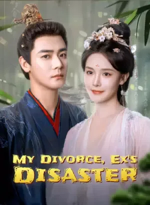 My Divorce, Ex's Disaster