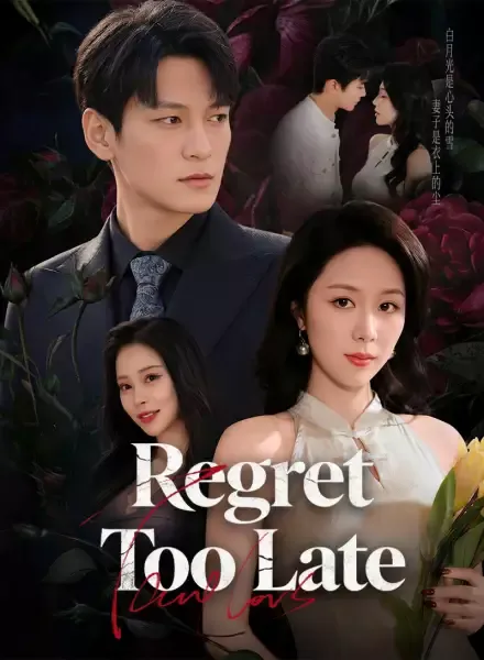 Regret Too Late