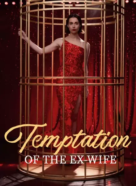 Temptation of the Ex-Wife — poster