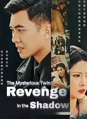 The Mysterious Twin: Revenge in the Shadow