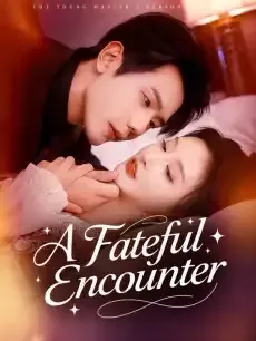 A Fateful Encounter — poster