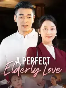A Perfect Elderly Love — poster