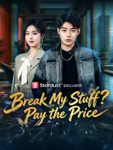 Break My Stuff? Pay the Price — poster