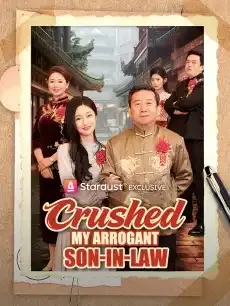 Crushed My Arrogant Son-in-Law — poster