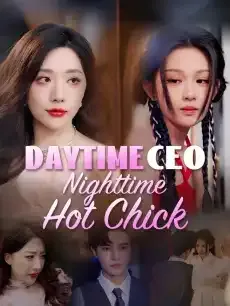 Daytime CEO, Nighttime Hot Chick — poster