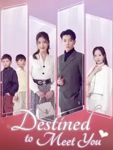 Destined to Meet You — poster