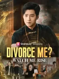 Divorce Me? Watch Me Rise — poster