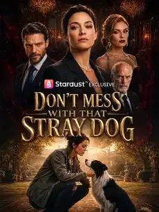 Don't Mess with That Stray Dog — poster