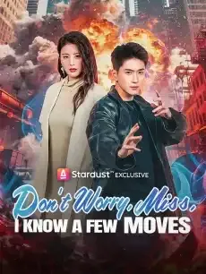 Don't Worry, Miss, I Know a Few Moves — poster