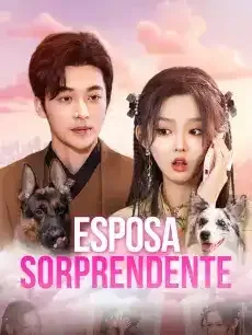 Esposa Sorprendente Episodios completos - StardustTV — póster