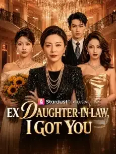 Ex Daughter-in-Law, I Got You — poster