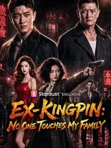 Ex-Kingpin: No One Touches My Family — poster