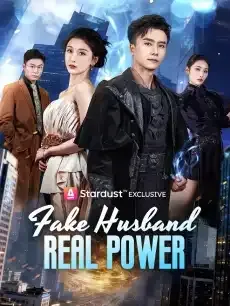 Fake Husband, Real Power — poster